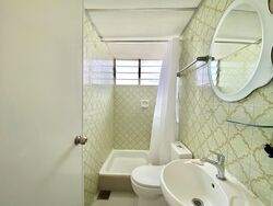 Pandan Valley (D21), Condominium #607669621